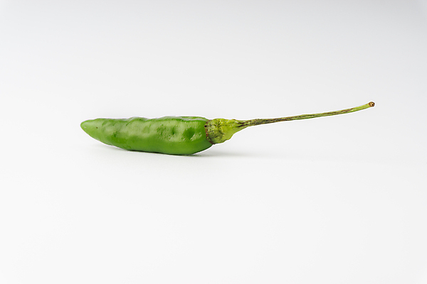 포토 JPG 해외이미지 나무 식물 음식 백그라운드 잎 농업 채소 재료 태국 자연 고추 조류 파프리카 건강 요리 씨앗 사람없음 빨간색 초록색 컬러풀 정원 추위 성장 흰색 신선 뜨거움 양념 먹기 향신료 유기농 매움 날것 후추 칠레 내추럴 연소 고립 숙성 채식주의자 해외포토 동물 웰빙 산업 아시아 컬러 모션 남아메리카 맛 생태계 채식 향미료 파일형식 이미지허브