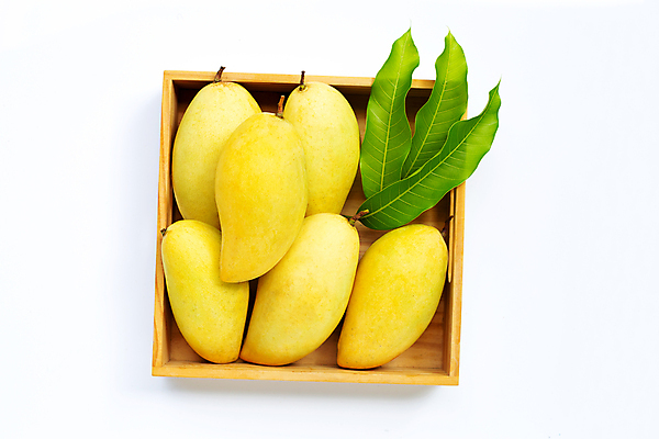 포토 JPG 해외이미지 잎 실내 사람없음 하이앵글 여러개 나무상자 열대과일 흰배경 담기 망고 해외포토 식물 뷰포인트 다수 백그라운드 과일 모션 내부 상자 흰색 파일형식 이미지허브