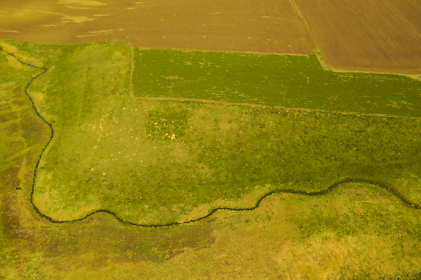 포토 JPG 해외이미지 계절 밭 농업 곡선 자연 풍경 사람없음 야외 세로 초록색 물 강 컬러풀 농장 환경 계곡 침묵 흐름 탐험 농촌 시골 개울 소 군중 방목 땅 지역 내추럴 굴곡 드론 조감도 해외포토 자연요소 산업 선 컬러 컨셉 포유류 사람 소리 축산업 생태계 파일형식 이미지허브