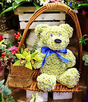 포토 JPG 해외이미지 디자인 기념일 꽃잎 꽃 꽃다발 백그라운드 꽃무늬 곰 자연 휴가 프레임 발렌타인데이 사랑 사람없음 장식 초록색 여름 장난감 바구니 봄 벚꽃 흰색 축하 신선 개화 난초 작음 큼 심볼 순수 아로마 내추럴 구성 블러 카피스페이스 해외포토 식물 동물 계절 감정 컬러 컨셉 무늬 포유류 데이이벤트 이벤트 공백 크기 생태계 파일형식 이미지허브