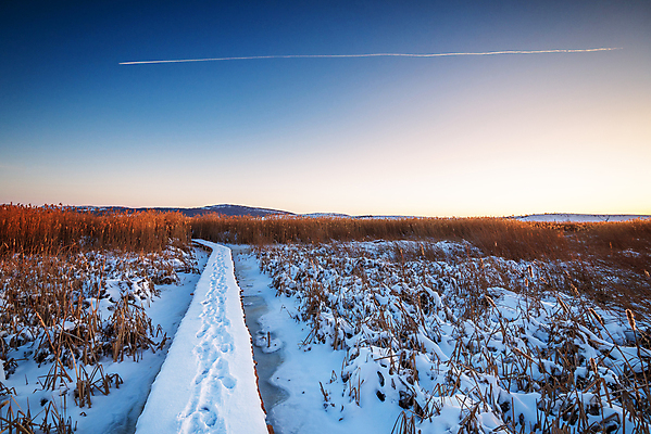 포토 JPG 해외이미지 나무 식물 구름 계절 꽃 도로 길 호수 야생동물 여행 백그라운드 겨울 밭 오렌지 자연 아침 풍경 사람없음 야외 목재 물 강 평화 환경 침묵 황혼 일몰 산책 하이킹 가을 연못 황무지 습지 저녁 숲 내추럴 방법 불가리아 해외포토 주간 자연요소 동물 컨셉 농업 과일 재료 교통시설 레저 휴식 노을 소리 야간 생태계 파일형식 남유럽 이미지허브