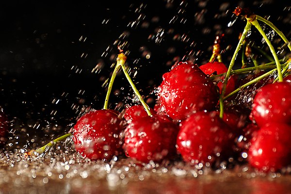 포토 JPG 해외이미지 잡화 열매 음식 줄기 백그라운드 농업 다이어트 과일 자연 건강 사람없음 빨간색 물 빛 검은색 주스 젖음 신선 체리 달콤 맛 떨어짐 이슬 다발 유기농 내추럴 고립 숙성 채식주의자 비건 해외포토 자연요소 식물 웰빙 산업 음료 컬러 컨셉 생태계 채식 파일형식 이미지허브