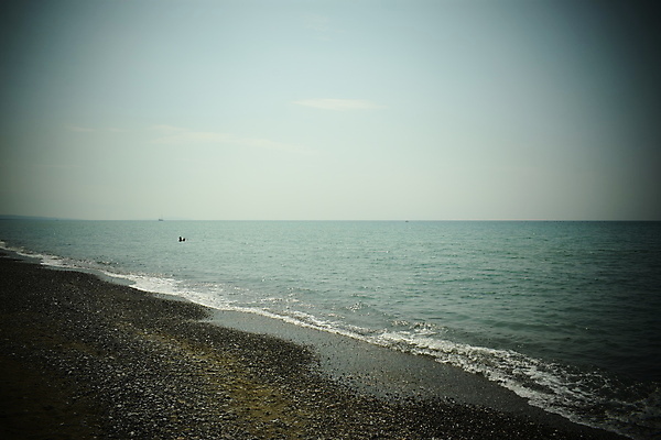 포토 JPG 해외이미지 나무 유럽 바다 자연 휴가 풍경 해변 사람없음 야외 목재 여름 태양 이탈리아 안개 소나무 황무지 분위기 숲 지중해 토스카나 해외포토 자연요소 식물 계절 나라 컨셉 재료 날씨 생태계 파일형식 이미지허브