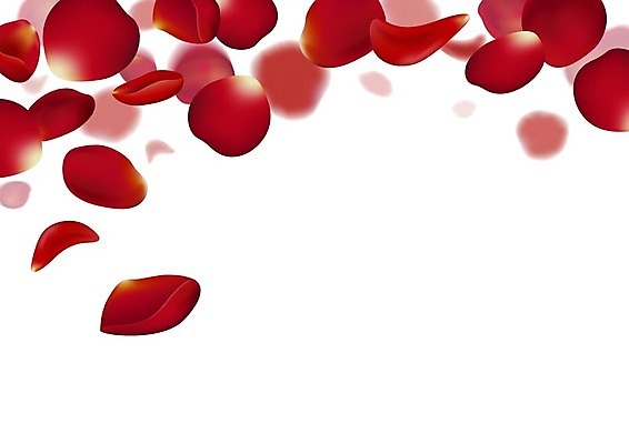 EPS 해외이미지 배너 꽃잎 백그라운드 일러스트 추상 발렌타인데이 사랑 사람없음 장식 빨간색 빛 장미 가을 하트 스타일 해외일러스트 모양 계절 꽃 감정 컬러 무늬 데이이벤트 파일형식 벡터 이미지허브