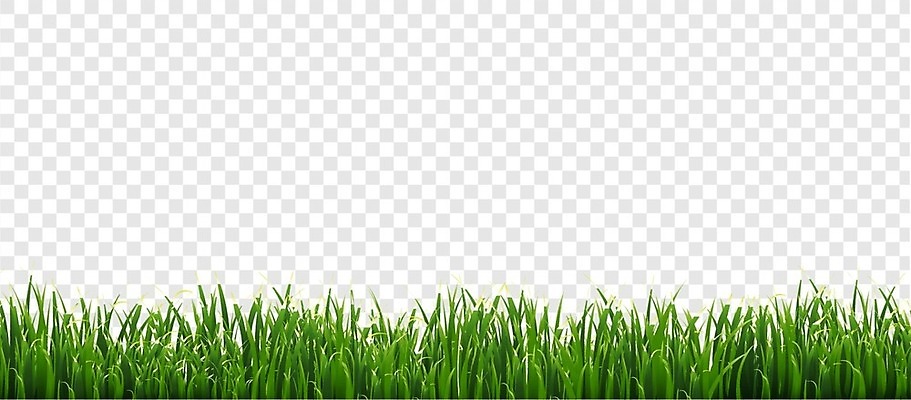 EPS 해외이미지 식물 템플릿 디자인 배너 꽃 백그라운드 잎 꽃무늬 밭 일러스트 자연 부활절 프레임 파노라마 미술 풍경 잔디 장식 초록색 여름 빛 환경 정원 봄 성장 신용카드 개화 4월 오브젝트 속도 에코 생태학 해외일러스트 계절 교육 기념일 컬러 무늬 농업 문화예술 촬영기법 금융 날짜 생태계 파일형식 벡터 이미지허브