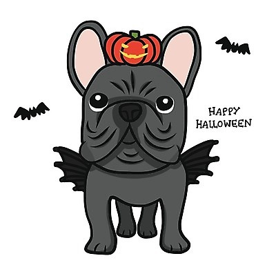 EPS 해외이미지 한마리 반려견 일러스트 사람없음 반려동물 할로윈 강아지 악마 손그림 박쥐 불독 잭오랜턴 해외일러스트 동물 1 포유류 개 파일형식 벡터 이미지허브