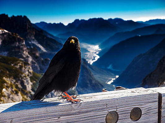포토 JPG 해외이미지 구름 여행 백그라운드 자연 벽지 하늘 휴가 산 풍경 사람없음 여름 파란색 얼음 프랑스 바위 고도 빙하 양배추 알프스 내추럴 절정 해외포토 자연요소 계절 유럽 컬러 채소 돌_바위 생태계 파일형식 이미지허브