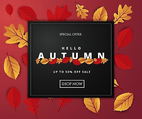 EPS 해외이미지 디자인 단풍 낙엽 일러스트 사각프레임 타이포그라피 사람없음 빨간색 쇼핑 세일 검은색 가을 반값 해외일러스트 문자 계절 컬러 잎 프레임 사각형 파일형식 벡터 이미지허브