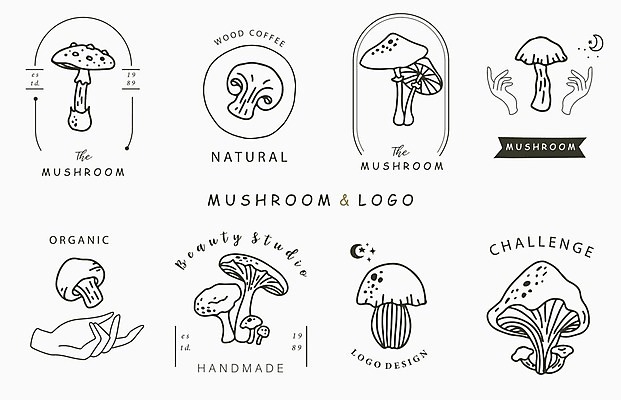 EPS 해외이미지 손 라인일러스트 일러스트 단면 신체부위 세트 버섯 다양 달 원형 심볼 라인아트 유기농 해외일러스트 자연요소 도형 웰빙 선 다수 사람 파일형식 벡터 이미지허브