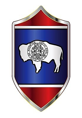 EPS 해외이미지 배너 일러스트 미술 그래픽 미국 깃발 보호 그림 전쟁 방패 병정 전사 갑옷 고립 와이오밍 해외일러스트 컨셉 북아메리카 문화예술 보호장비 파일형식 벡터 이미지허브