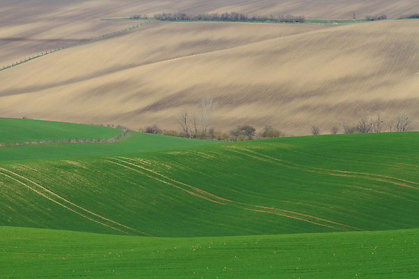 포토 JPG 해외이미지 나무 유럽 야생동물 여행 밭 자연 벽지 휴가 파노라마 그림자 사람 풍경 사람없음 야외 초록색 여름 컬러풀 태양 와인 맑음 놀람 봄 산책로 언덕 만족 그림 지역 체코 남쪽 공화국 토스카나 모라비아 해외포토 자연요소 식물 동물 계절 감정 나라 길 컬러 농업 날씨 주류 촬영기법 표정 이탈리아 방향 생태계 파일형식 이미지허브
