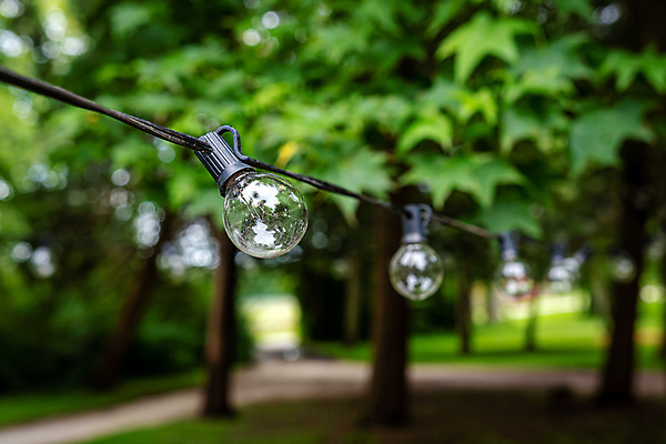 포토 JPG 해외이미지 나무 디자인 줄 결혼 컨셉 전구 유리 휴가 조명 매달리기 이벤트 사람없음 야외 목재 장식 초록색 빛 파티 정원 축제 화환 황혼 활발 수확 나뭇가지 시골 램프 축하 우아함 저녁 소프트포커스 숲 묘사 오브젝트 광 스타일 해외포토 식물 꽃 컬러 농업 재료 모션 재질 촬영기법 일몰 야간 파일형식 이미지허브