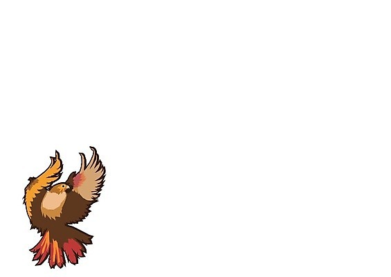 EPS 해외이미지 동물 디자인 별 백그라운드 스티커 날개 일러스트 조류 미술 그래픽 머리 라벨 검은색 미국 힘 펼침 자유 수확 흰색 문신 심볼 사인 복고 독수리 육식동물 배지 대머리 방패 애국심 휘장 고립 마스코트 엘리먼트 집게발 해외일러스트 자연요소 헤어스타일 컬러 컨셉 북아메리카 농업 모션 문화예술 프레임 신체부위 파일형식 벡터 이미지허브