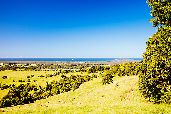 포토 JPG 해외이미지 나무 바다 안테나 사람없음 초록색 놀람 관찰 호주 해외포토 식물 감정 컬러 통신 모션 표정 오세아니아 파일형식 이미지허브