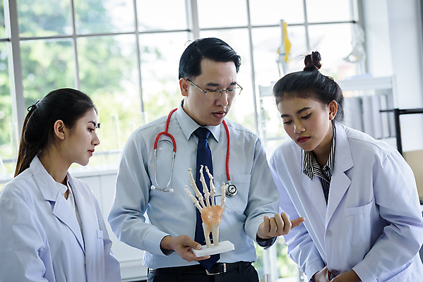 포토 JPG 해외이미지 학생 손 응시 여자 교육 남자 골격 실험 들기 사람 동양인 성인 신체부위 세명 교수 가르침 실험실 과학자 대학교 뼈모형 성인만 해외포토 직업 시선 과학 학교 모션 인종 모형 교사 학자 파일형식 이미지허브