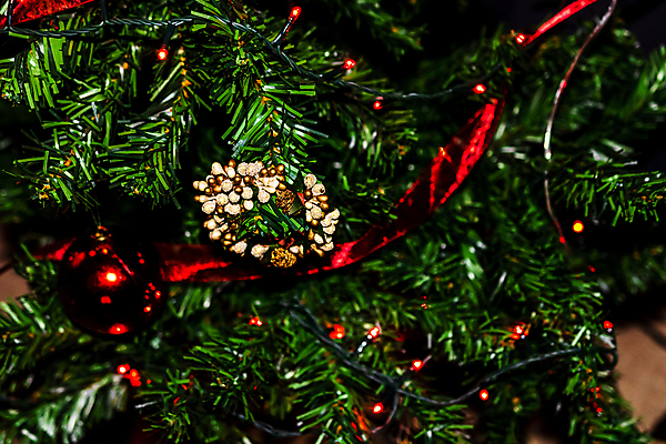 포토 JPG 해외이미지 백그라운드 크리스마스장식 크리스마스 공 휴가 새로움 주택 기념 매달리기 선물 사람없음 장식 빨간색 빛 컬러풀 크리스마스트리 축제 화환 장식볼 나뭇가지 축하 소나무 신용카드 황금 야간 소프트포커스 12월 취급주의 해외포토 자연요소 나무 기념일 꽃 컬러 컨셉 모션 촬영기법 경고 건물 금융 날짜 파일형식 이미지허브