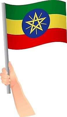 EPS 해외이미지 손 디자인 물결 일러스트 손가락 성공 자유 축하 깃발 잡기 막대기 작음 사인 깃대 봉 팔 애국심 독립 에티오피아 전국 해외일러스트 컨셉 모션 아프리카 신체부위 크기 파일형식 벡터 이미지허브