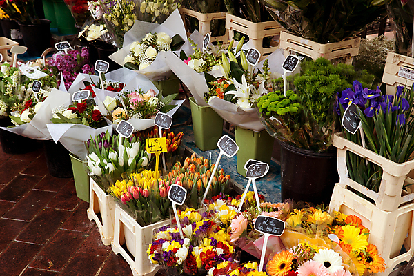 포토 JPG 해외이미지 식물 전통 꽃 유럽 문화 꽃다발 여행 잎 거리 선물 사람없음 야외 장식 빨간색 초록색 파란색 컬러풀 장미 노란색 판매 상점 정원 보라색 프랑스 신선 도시 그룹 시장 구매 농부 다발 만족 장면 타운 소매 프랑스어 작약 해외포토 직업 문자 감정 나라 컬러 쇼핑 파일형식 이미지허브