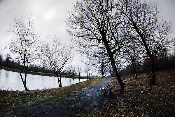 포토 JPG 해외이미지 나무 식물 구름 계절 공원 호수 여행 백그라운드 벤치 자연 하늘 아침 휴가 산 풍경 사람없음 야외 목재 물 여름 빛 강 컬러풀 햇빛 태양 반사 일출 환경 맑음 침묵 일몰 봄 새벽 시골 연못 소나무 숲 장면 내추럴 아제르바이잔 어안 해외포토 주간 자연요소 공공시설 나라 컬러 의자 재료 날씨 노을 소리 생태계 파일형식 이미지허브