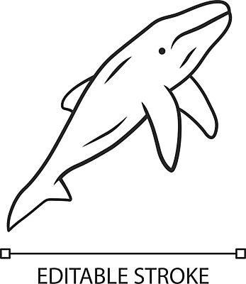 EPS 해외이미지 한마리 일러스트 사람없음 라인아트 고래 해외일러스트 1 선 포유류 수중동물 파일형식 벡터 이미지허브