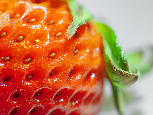 포토 JPG 해외이미지 잡화 열매 음식 조각 백그라운드 잎 다이어트 과일 재료 딸기 디저트 건강 씨앗 사람없음 빨간색 빛 주스 활발 신선 닫기 달콤 맛 정상 잼 먹기 싱글 상쾌 유기농 날것 내추럴 점심식사 바이오 숙성 식용 채식주의자 해외포토 식물 웰빙 감정 음료 컬러 컨셉 모션 식사 소스_음식 채식 파일형식 이미지허브