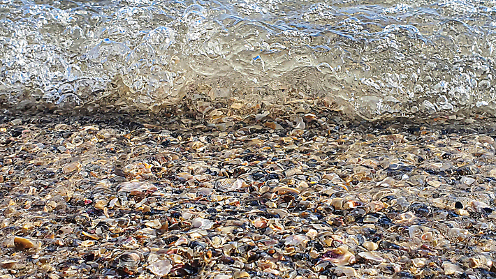 포토 JPG 해외이미지 직업 파도 바다 하늘색 가족 놀이 근육 휴가 휴식 건강 사람없음 물 여름 파란색 울타리 태양 반사 수영 스파 젖음 광선 껍질 신선 뜨거움 투명 서핑 선탠 시원함 청소 다이빙 소금 분무기 규칙 천창 해외포토 자연요소 계절 컬러 컨셉 관계 담장 수상스포츠 수중스포츠 파일형식 이미지허브