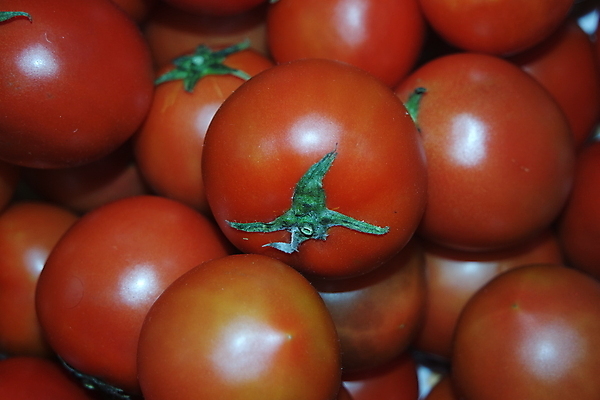 포토 JPG 해외이미지 음식 백그라운드 패턴 농업 토마토 과일 재료 자연 건강 사람없음 활발 샐러드 신선 그룹 시장 먹기 유기농 질감 채식주의자 해외포토 웰빙 산업 컨셉 무늬 채소 모션 생태계 채식 파일형식 이미지허브