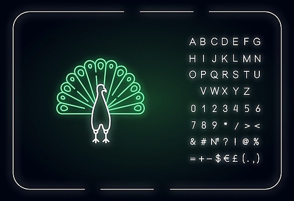 EPS 해외이미지 일러스트 사람없음 공작 네온 해외일러스트 조류 파일형식 벡터 이미지허브