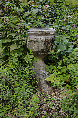 포토 JPG 해외이미지 나무 식물 계절 공원 꽃 벽 줄기 잎 건축양식 자연 주택 사람없음 야외 목재 초록색 여름 정원 봄 가을 바위 공구 숲 장작 자르기 원예 통나무 날카로움 도끼 나무껍질 아이비 잡동사니 내추럴 추적 깨짐 벌목 수목 옛날 해외포토 공공시설 건축 컬러 컨셉 재료 모션 취미 건물 껍질 돌_바위 도구 생태계 파일형식 이미지허브