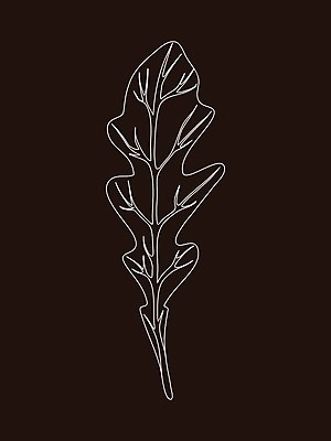 EPS 해외이미지 식물 손 디자인 선 음식 백그라운드 잎 농업 다이어트 채소 일러스트 재료 자연 건강 요리 미술 그래픽 초록색 세트 갈색 주방 정원 검은색 샐러드 로켓 신선 양념 시장 허브 심볼 향신료 오브젝트 그림 유기농 날것 윤곽 판화 내추럴 고립 루꼴라 엘리먼트 채식주의자 해외일러스트 웰빙 산업 컬러 문화예술 신체부위 생태계 채식 향미료 파일형식 벡터 이미지허브