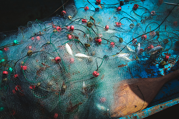 포토 JPG 해외이미지 직업 전통 문화 밧줄 바다 여행 백그라운드 패턴 오렌지 태국 낚시 어류 사람없음 빨간색 물 파란색 쌓기 항구 장비 공구 업무 그물 보트 뜨개질 해산물 묘사 부식 질감 낚시꾼 사냥꾼 망사 부표 옛날 많음 해외포토 자연요소 아시아 줄 컬러 컨셉 무늬 배_교통 과일 교통시설 모션 레저 취미 수중동물 도구 직물 작업 파일형식 이미지허브