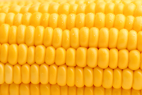 포토 JPG 해외이미지 모양 식물 산업 음식 백그라운드 농업 다이어트 채소 과일 재료 자연 프레임 건강 옥수수 씨앗 사람없음 농작물 농장 노란색 젖음 수확 성장 시골 신선 달콤 맛 상품 낟알 시리얼 가득함 유기농 질감 알맹이 날것 귀 노젓기 내추럴 줄서기 채식주의자 해외포토 웰빙 컬러 컨셉 모션 곡류 신체부위 생태계 채식 파일형식 이미지허브