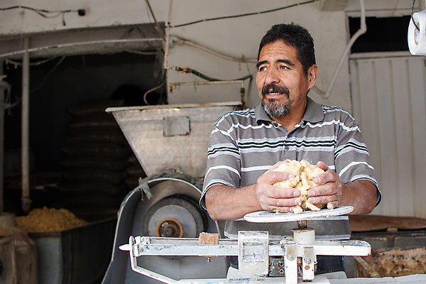 포토 JPG 해외이미지 문화 음식 농업 채소 재료 자연 멕시코 건조 건강 옥수수 씨앗 한명 농작물 노란색 저녁식사 황금 플러그 전기에너지 낟알 시리얼 유기농 질감 알맹이 날것 반죽 팝콘 타코 내추럴 방앗간 고립 영양분 해외포토 식물 1 웰빙 산업 컬러 북아메리카 곡류 사람 식사 에너지 생태계 파일형식 이미지허브