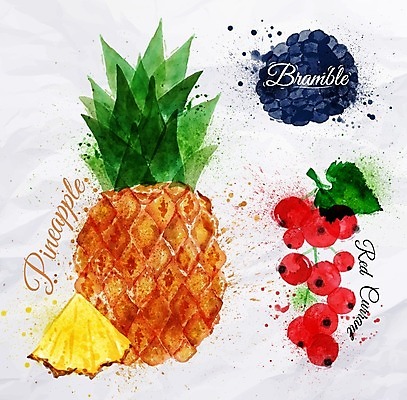 EPS 해외이미지 일러스트 수채화 사람없음 파인애플 손그림 블랙베리 레드커런트 해외일러스트 열매 과일 열대과일 파일형식 벡터 이미지허브