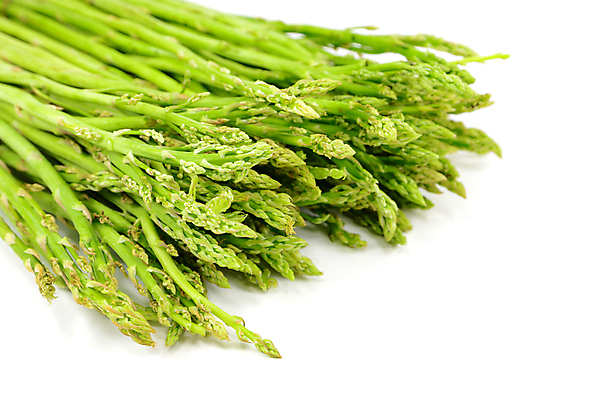 포토 JPG 해외이미지 음식 채소 건강 사람없음 초록색 식사 흰색 신선 유기농 아스파라거스 고립 줄서기 해외포토 웰빙 컬러 모션 파일형식 이미지허브