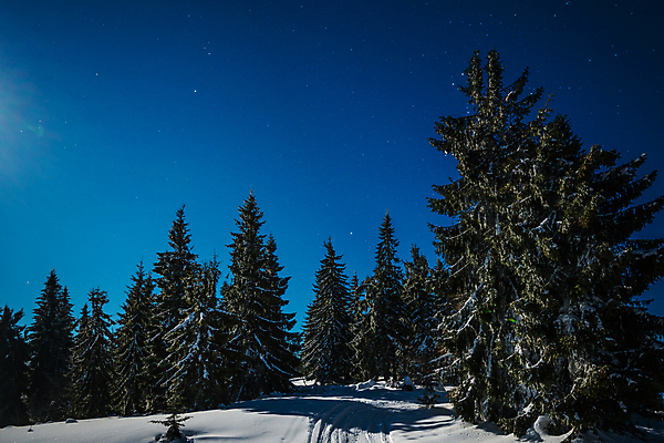 포토 JPG 해외이미지 나무 계절 별 과학 백그라운드 겨울 자연 하늘 휴가 불꽃 산 풍경 사람없음 파란색 우주 환경 검은색 어둠 꿈 안개 야간 숲 달빛 언덕 코스모스 서리 은하계 점성술 공상 마법 전나무 별빛 성운 내추럴 깊이 절정 가문비나무 해외포토 자연요소 식물 꽃 컬러 불 날씨 빛 달 생태계 파일형식 이미지허브