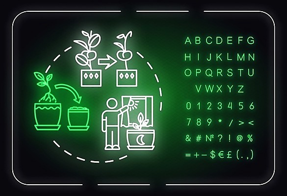 EPS 해외이미지 일러스트 창문 사람모양 사람없음 햇빛 커튼 원예 네온 가지치기 분갈이 해외일러스트 모양 취미 태양 파일형식 벡터 이미지허브