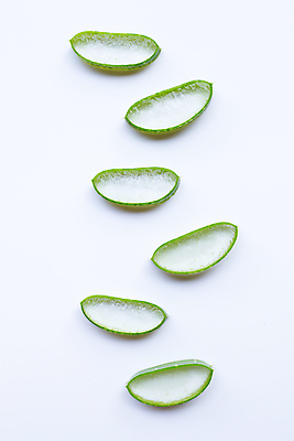 포토 JPG 해외이미지 스튜디오촬영 단면 실내 사람없음 하이앵글 흰배경 알로에 해외포토 식물 뷰포인트 백그라운드 내부 흰색 파일형식 이미지허브