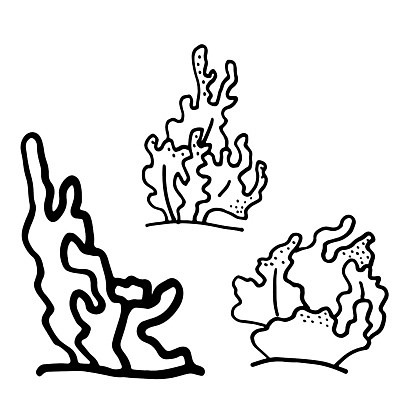 EPS 해외이미지 동물 손 디자인 야생동물 바다 일러스트 낚시 흑백 그래픽 물 강 검은색 수중 흰색 산호 낙서 스케치 심볼 싱글 그림 수족관 고립 엘리먼트 해외일러스트 자연요소 컬러 레저 촬영기법 미술 신체부위 자포동물 파일형식 벡터 이미지허브