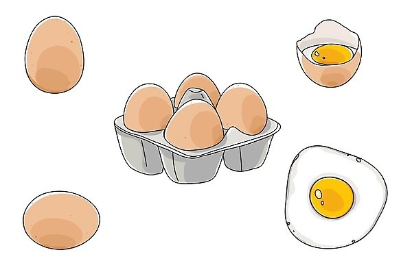 EPS 해외이미지 클립아트 길 음식 백그라운드 일러스트 재료 건강 미술 그래픽 상자 계란 흰색 신선 10 균열 오브젝트 그림 유기농 날것 클립 팩 패키지 노른자 고립 단절 해외일러스트 웰빙 컬러 모션 문화예술 숫자 알 화장품 파일형식 벡터 이미지허브