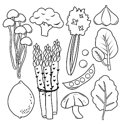 EPS 해외이미지 식물 캐릭터 잡화 선 음식 잎 농업 다이어트 채소 과일 일러스트 재료 자연 콩 건강 마늘 요리 농장 주방 정원 버섯 샐러드 신선 시장 브로콜리 만화 먹기 레몬 허브 유기농 완두콩 아스파라거스 시금치 내추럴 생태학 엘리먼트 채식주의자 케일 해외일러스트 일러캐릭터 웰빙 교육 산업 모션 곡류 생태계 채식 파일형식 벡터 이미지허브