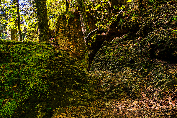 포토 JPG 해외이미지 주간 나무 여행 자연 휴가 휴식 산 사람없음 야외 물 강 골짜기 계곡 맑음 수영 폭포 하이킹 흐름 조약돌 시골 개울 급류 숲 바이에른 해외포토 자연요소 식물 컨셉 레저 날씨 독일 돌_바위 수상스포츠 생태계 파일형식 이미지허브