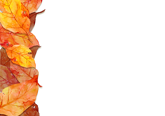 포토 JPG 해외이미지 나무 식물 디자인 배너 계절 백그라운드 단풍 잎 꽃무늬 오렌지 일러스트 자연 추상 수채화 프레임 건조 미술 사람없음 장식 빨간색 컬러풀 노란색 환경 정원 축제 페인트 수확 가을 축복 숲 9월 그림 감사 추수감사절 10월 단아함 해외포토 꽃 감정 기독교 컬러 컨셉 무늬 농업 과일 문화예술 날짜 생태계 파일형식 이미지허브