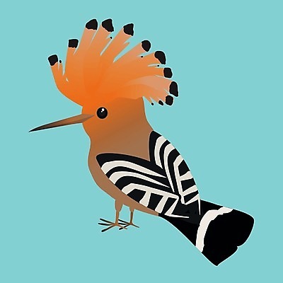 EPS 해외이미지 동물 캐릭터 디자인 야생동물 백그라운드 오렌지 일러스트 자연 조류 미술 그래픽 빨간색 파란색 컬러풀 디지털 흰색 만화 심볼 깃털 그림 부리 고립 해외일러스트 일러캐릭터 컬러 과일 문화예술 생태계 파일형식 벡터 이미지허브