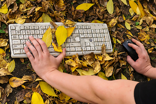 포토 JPG 해외이미지 나무 손 계절 공원 단풍 잎 오렌지 비즈니스 자연 거리 서기 풍경 사람없음 야외 컴퓨터 사무실 노란색 디지털 장비 가을 도시 작업 닫기 역 떨어짐 숲 오브젝트 경영자 위치 타운 자작나무 발견 거짓말 옛날 존재 해외포토 식물 공공시설 컬러 컨셉 과일 교통시설 모션 신체부위 전자제품 리더 생태계 파일형식 이미지허브