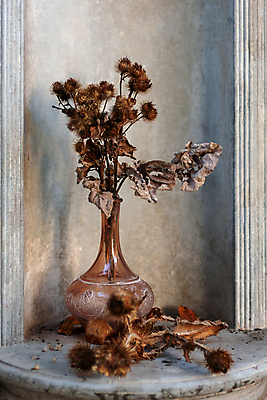 포토 JPG 해외이미지 식물 그릇 벽 분홍색 잎 유리 건조 사람없음 야외 갈색 수확 옛날 정물화 해외포토 식기 컬러 농업 재질 그림 파일형식 이미지허브