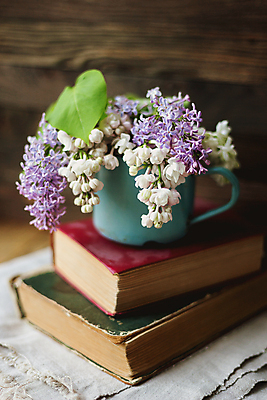 포토 JPG 해외이미지 실내 사람없음 책 컵 쌓기 라일락 해외포토 식기 꽃 모션 내부 파일형식 이미지허브