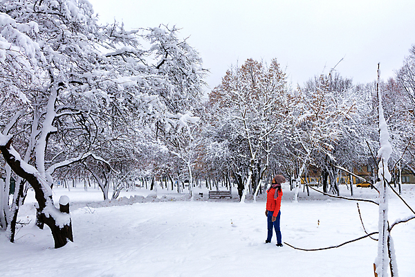 포토 JPG 해외이미지 나무 라이프스타일 옷 공원 여자 행복 무기 백그라운드 크리스마스 겨울 벤치 자연 동화 사랑 한명 사람 야외 목재 파란색 유행 산책 재킷 추위 흰색 청바지 숲 큼 흥분 서리 눈덩이 옛날 눈내림 해외포토 식물 1 계절 공공시설 기념일 감정 컬러 의자 재료 바지 휴식 눈_날씨 생활 외투 크기 생태계 파일형식 이미지허브