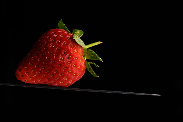 포토 JPG 해외이미지 스튜디오촬영 계절 열매 음식 과일 딸기 검은배경 추상 잉글랜드 건강 사람없음 빨간색 여름 컬러풀 주방 사진촬영 활발 신선 맛 균형 먹기 그림 산딸기 식용 정물화 줄서기 카피스페이스 해외포토 식물 컬러 백그라운드 컨셉 무늬 모션 영국 실내 검은색 촬영 공백 파일형식 이미지허브