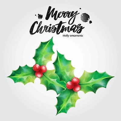 EPS 해외이미지 전통 디자인 배너 계절 열매 행복 포스터 백그라운드 잎 크리스마스 겨울 일러스트 추상 휴가 수채화 새로움 새해 선물 사람없음 장식 빨간색 초록색 빛 라벨 종 흰색 축하 인사 신용카드 황금 12월 연도 오브젝트 흰배경 고립 해외일러스트 식물 기념일 감정 컬러 컨셉 무늬 프레임 금융 예절 날짜 파일형식 벡터 이미지허브